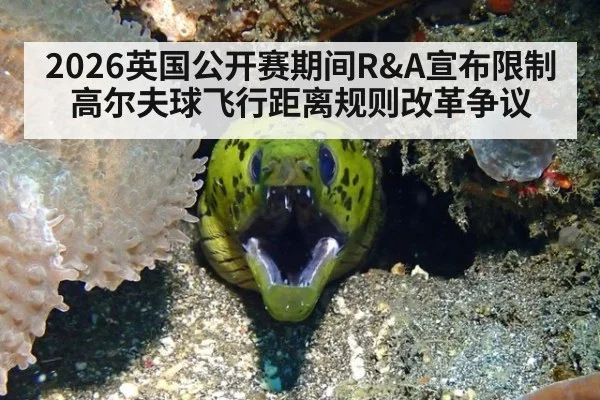 2026英国公开赛期间R&A宣布限制高尔夫球飞行距离规则改革争议