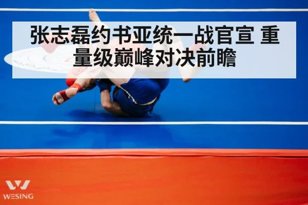 张志磊约书亚统一战官宣 重量级巅峰对决前瞻