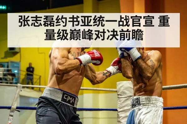 heavyweight boxing match