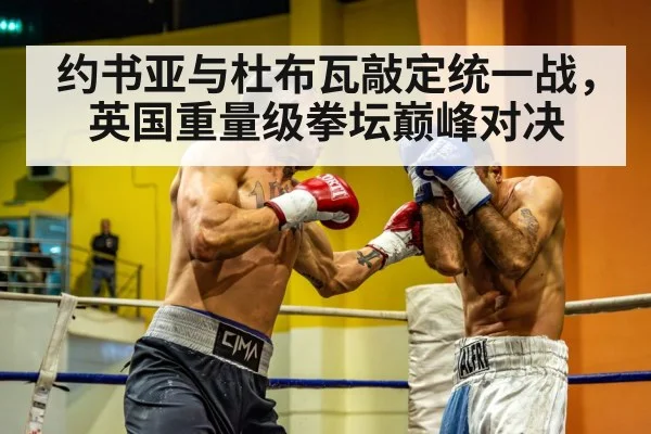 heavyweight boxing match